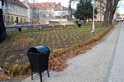 Rewitalizacja plant miejskich w Bolesławcu