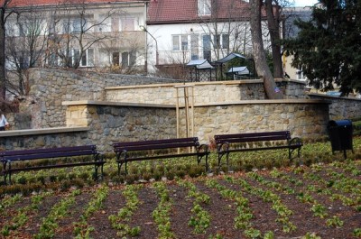 Rewitalizacja plant miejskich w Bolesławcu