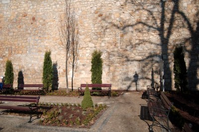 Rewitalizacja plant miejskich w Bolesławcu