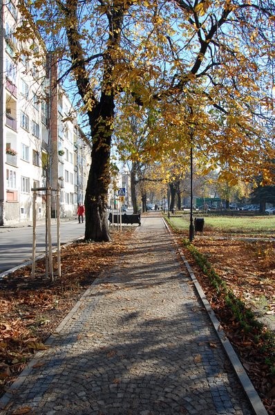 Rewitalizacja plant miejskich w Bolesławcu