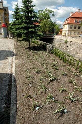 Rewitalizacja przestrzeni publicznej w centrum Kowar